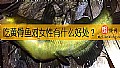 《吃黄骨鱼对女性有什么好处？》封面图