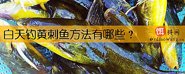 白天钓黄刺鱼方法有哪些