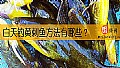 《白天钓黄刺鱼方法有哪些？》封面图