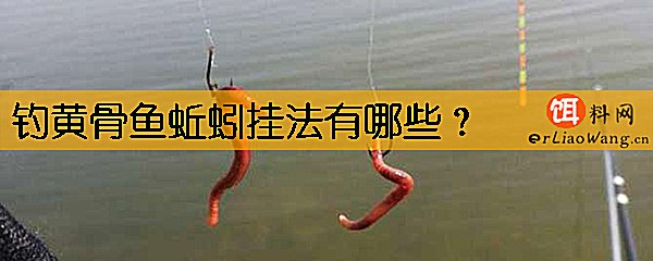 钓黄骨鱼蚯蚓挂法有哪些