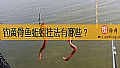《钓黄骨鱼蚯蚓挂法有哪些？》封面图