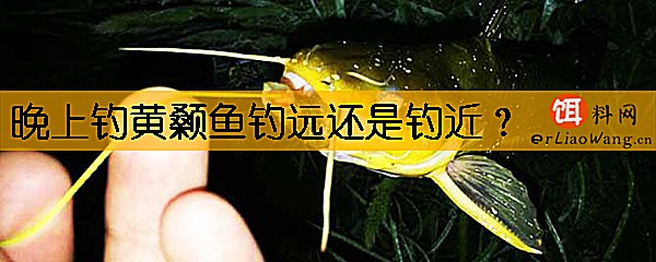 晚上钓黄颡鱼钓远还是钓近