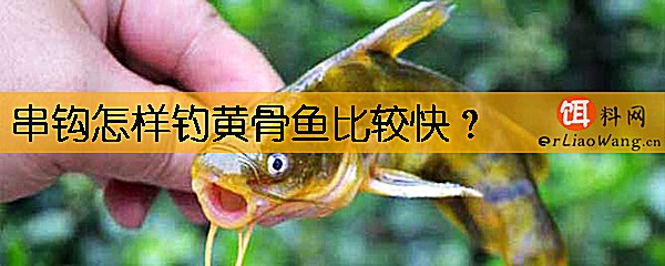 串钩怎样钓黄骨鱼比较快