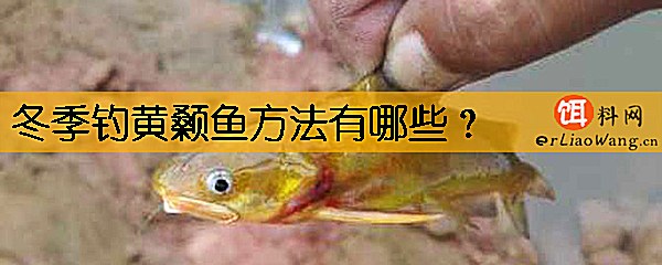 冬季钓黄颡鱼方法有哪些