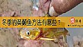 冬季钓黄颡鱼方法有哪些？