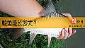 《鲮鱼能长多大？》封面图