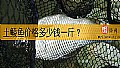 《土鲮鱼价格多少钱一斤？》封面图