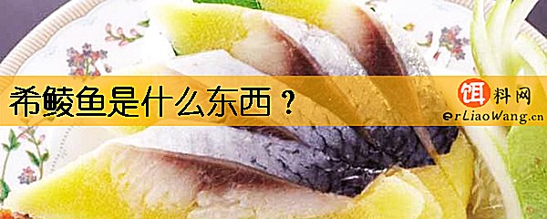 希鲮鱼是什么东西