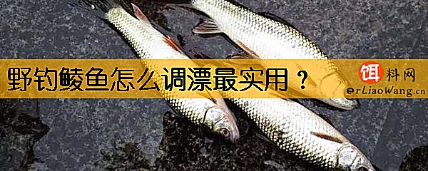 野钓鲮鱼怎么调漂最实用