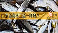 《白条鱼和马口鱼一样吗？》封面图