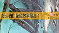《怎么钓白条鱼效率最高？》封面图