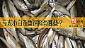 《专攻小白条鱼饵料有哪些？》封面图