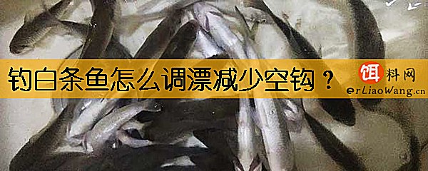 钓白条鱼怎么调漂减少空钩