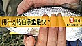 《用什么钓白条鱼最快？》封面图