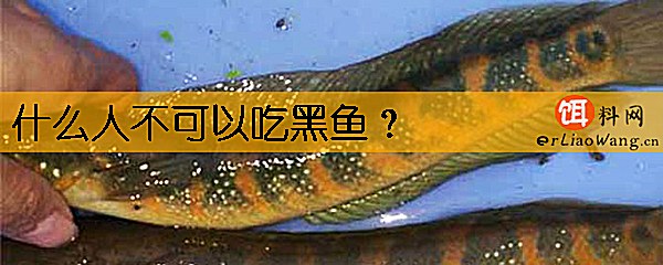 什么人不可以吃黑鱼