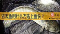 《钓黑鱼用什么方法上鱼快？》封面图