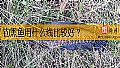 《钓黑鱼用什么线比较好？》封面图