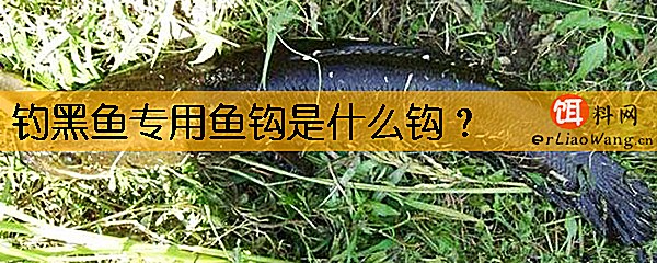 钓黑鱼专用鱼钩是什么钩