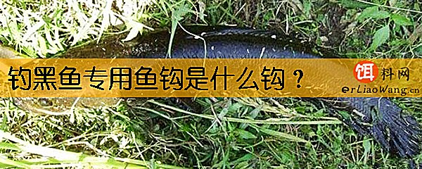 钓黑鱼专用鱼钩是什么钩