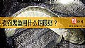 夜钓黑鱼用什么饵最好？
