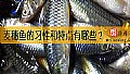 《麦穗鱼的习性和特点有哪些？》封面图