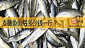 《麦穗鱼价格多少钱一斤？》封面图