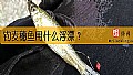 钓麦穗鱼用什么浮漂？