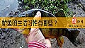 《鲈鱼的生活习性有哪些？》封面图