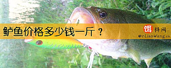 鲈鱼价格多少钱一斤