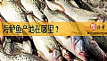 《海鲈鱼产地在哪里?》封面图