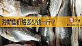 《海鲈鱼价格多少钱一斤?》封面图