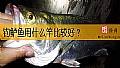 《钓鲈鱼用什么竿比较好?》封面图