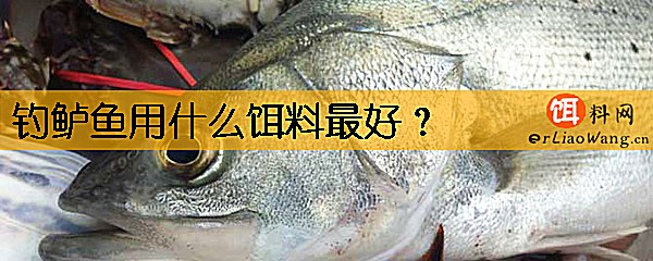 钓鲈鱼用什么饵料最好