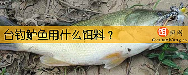 台钓鲈鱼用什么饵料