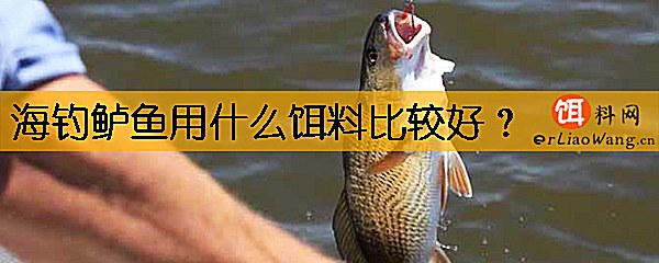 海钓鲈鱼用什么饵料比较好