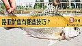 《路亚鲈鱼有哪些技巧？》封面图