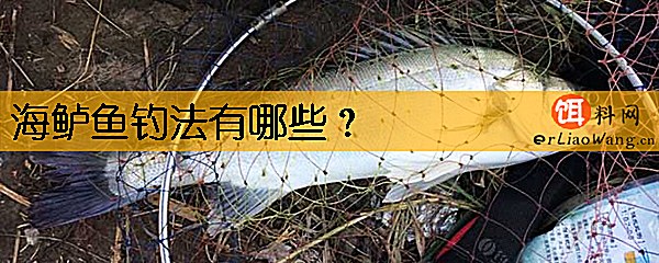 海鲈鱼钓法有哪些