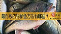 《最有效的钓鲈鱼方法有哪些？》封面图