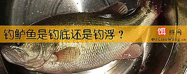 钓鲈鱼是钓底还是钓浮