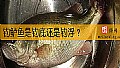 《钓鲈鱼是钓底还是钓浮？》封面图