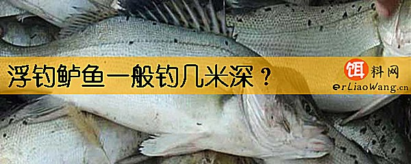 浮钓鲈鱼一般钓几米深