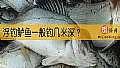 浮钓鲈鱼一般钓几米深？