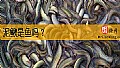 《泥鳅是鱼吗？》封面图