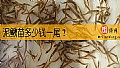 《泥鳅苗多少钱一尾？》封面图
