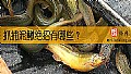 《抓捕泥鳅绝招有哪些？》封面图