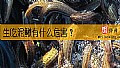 《生吃泥鳅有什么危害？》封面图