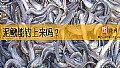 《泥鳅能钓上来吗？》封面图