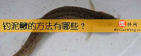 钓泥鳅的方法有哪些