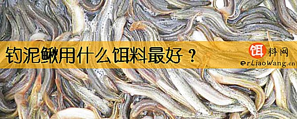 钓泥鳅用什么饵料最好