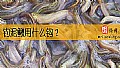 《钓泥鳅用什么钩？》封面图